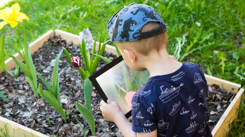 Tittar på blommor genom förstorningsfönster.